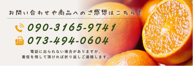 090-3165-9741