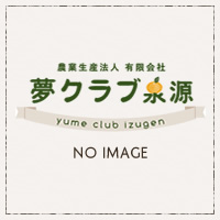 タイトルが入ります。サンプルテキストサンプル