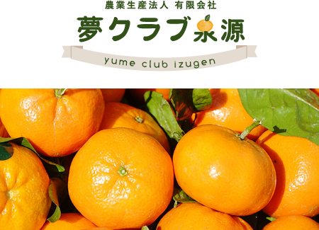和歌山県産みかん・温州みかんのお取り寄せは有限会社夢クラブ泉源